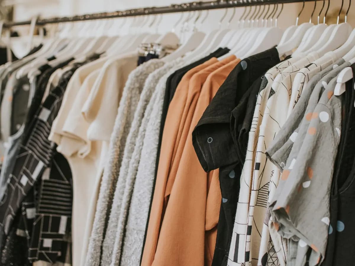 A clean arrangement of cosmetic brushes and makeup tools